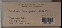 Image Associated With the Occurence